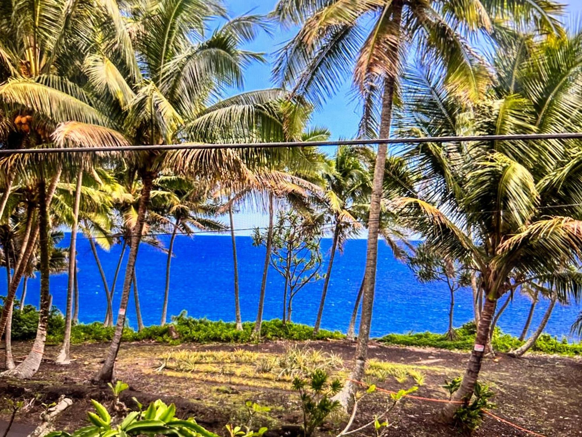 The Bali House And Cottage At Kehena Beach Hawaii エクステリア 写真