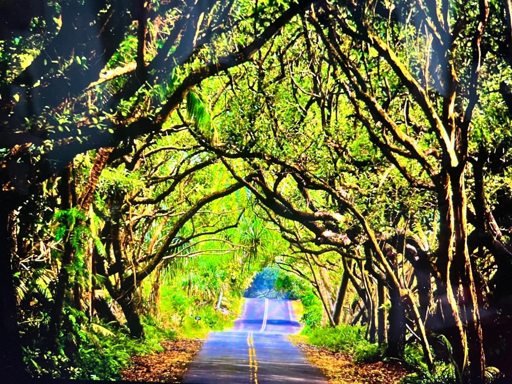 The Bali House And Cottage At Kehena Beach Hawaii エクステリア 写真
