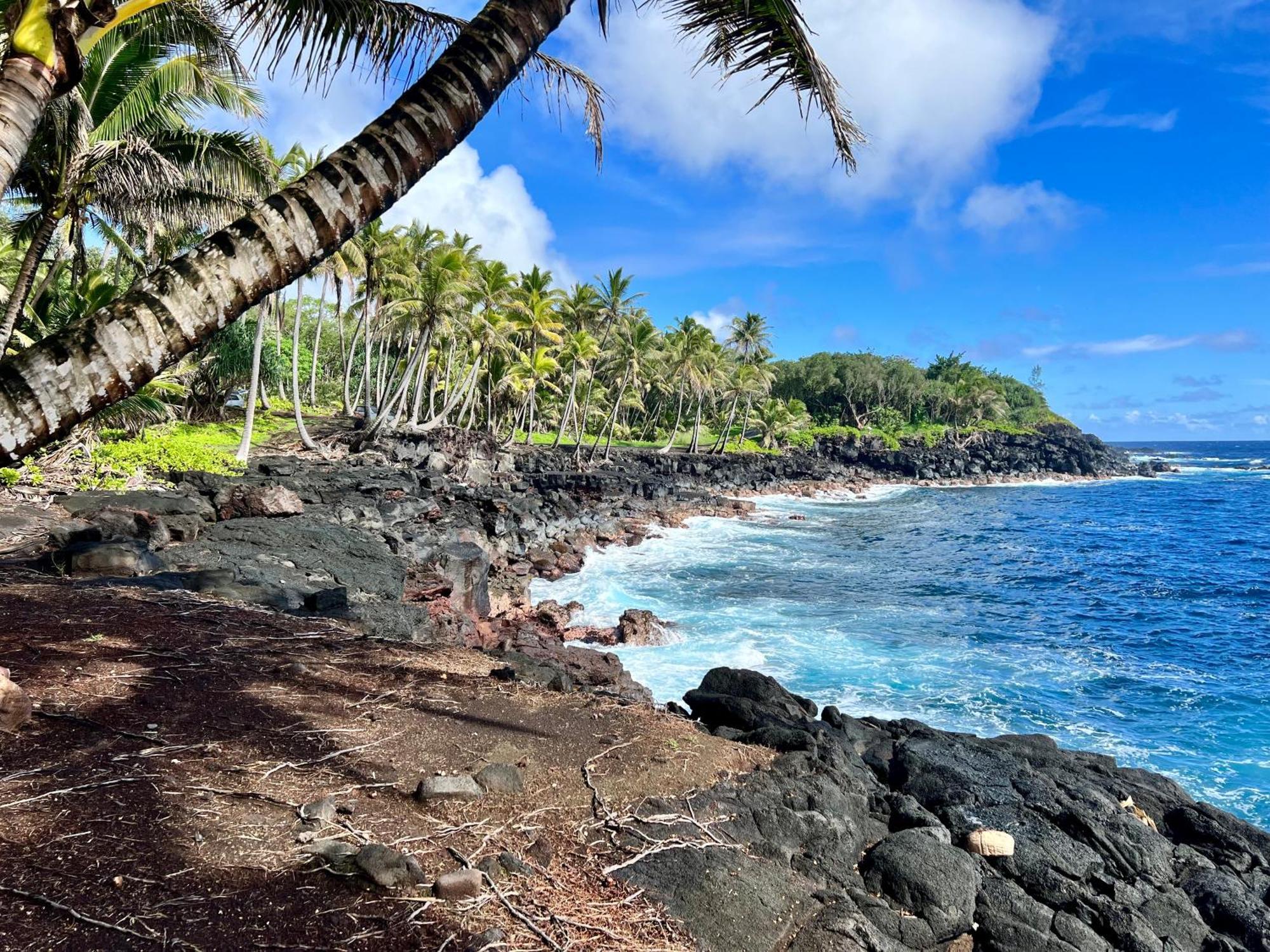 The Bali House And Cottage At Kehena Beach Hawaii エクステリア 写真