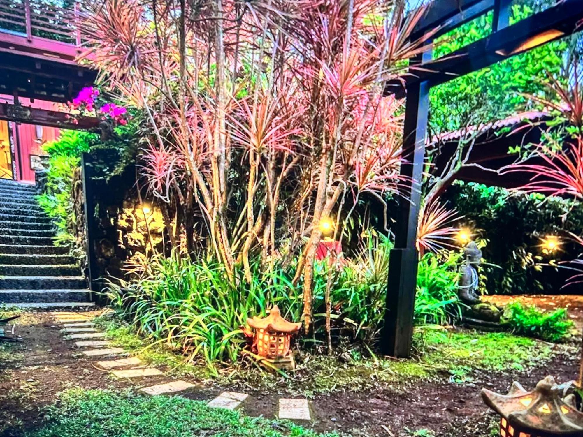 The Bali House And Cottage At Kehena Beach Hawaii エクステリア 写真