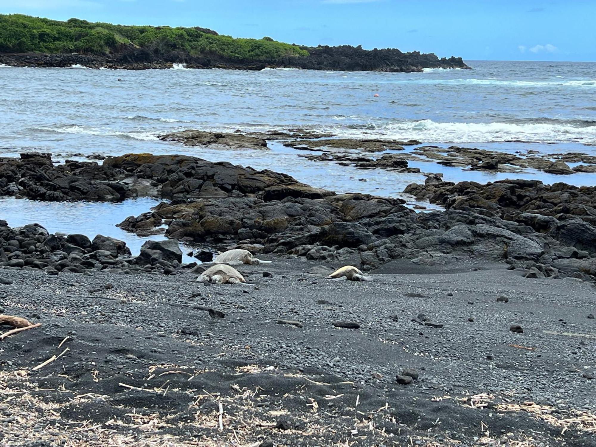 The Bali House And Cottage At Kehena Beach Hawaii エクステリア 写真